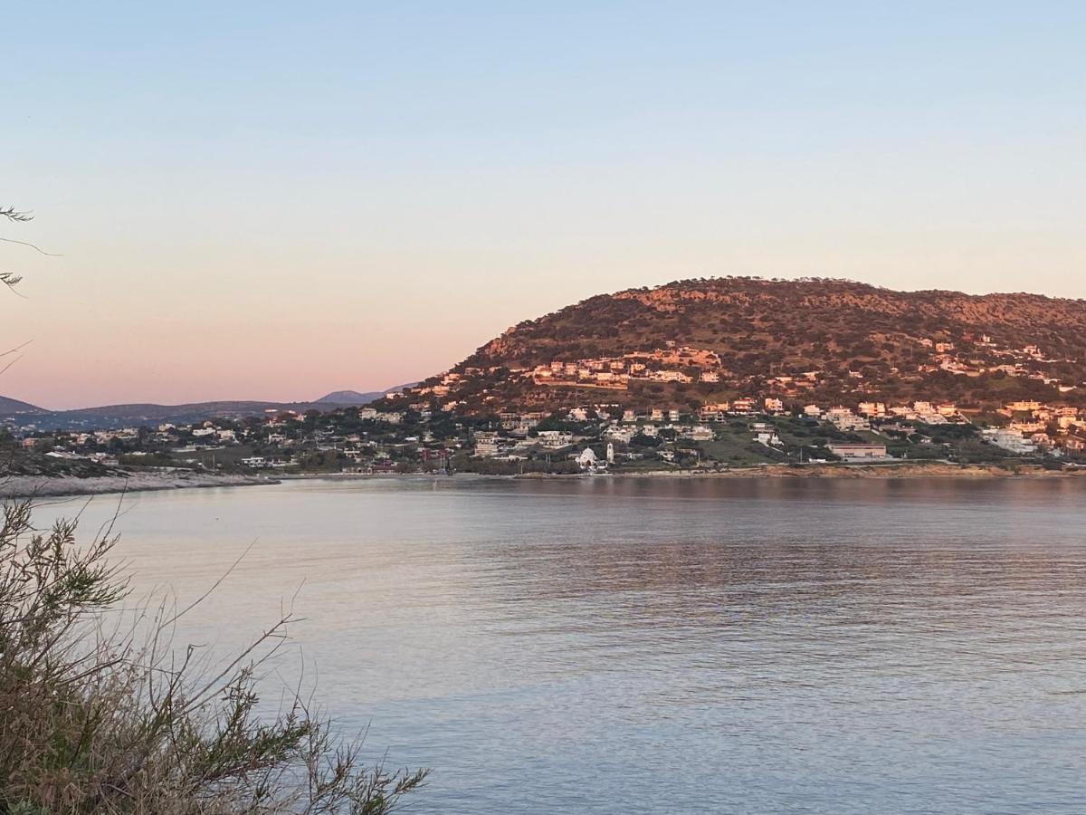 Seascape Luxury Villas Agia Marina  Eksteriør bilde